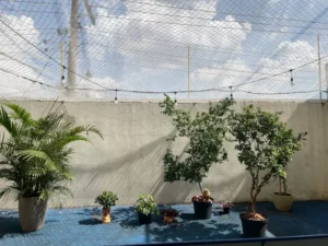 colegio-objetivo-coruja-corujinha-escola-zona-sul-09