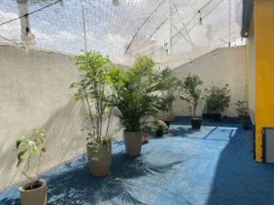 colegio-objetivo-coruja-corujinha-escola-zona-sul-10